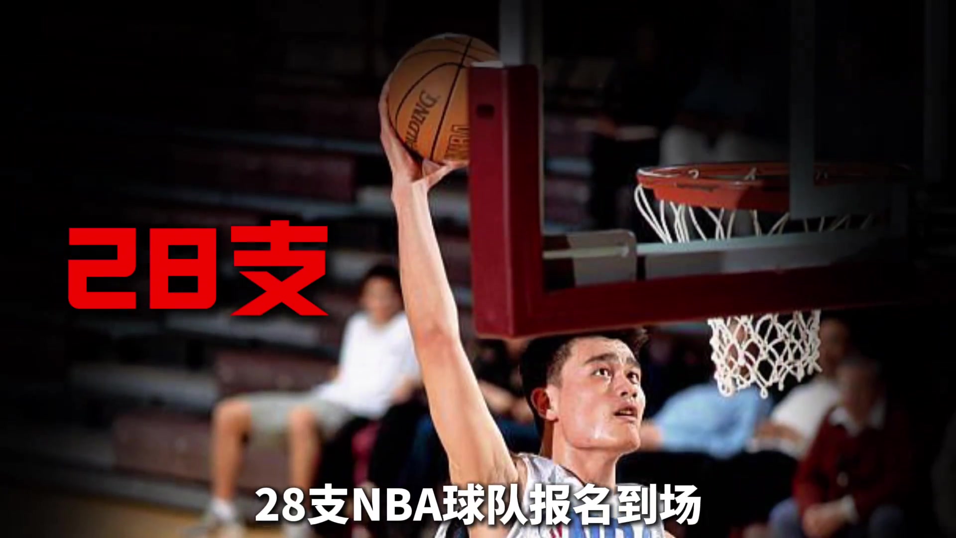 為了考察菜鳥姚明，NBA舉辦了歷史規(guī)模最大的一次試訓(xùn)