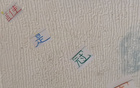 中超11輪，冠軍之爭(zhēng)顯露，海港無需多慮。
