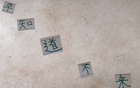 真敢言！國安主帥賽蒂恩，知場地差則不來。
