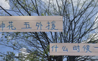 申花外援上場時機(jī)及四大豪門對比
