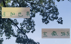 蔣內(nèi)傷，大連賽，馬艾誰得機？