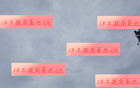 武磊傷退，海港備戰(zhàn)補(bǔ)賽。
