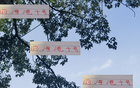 巴爾加斯助新東家保級(jí)，中超外援價(jià)值凸顯