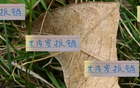 米內羅出局，申花急招外援，夏窗換血定局！