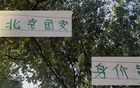 北京國(guó)安身價(jià)高，申花下滑，御林軍爭(zhēng)冠需策略。