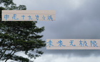 申花新星19歲國(guó)腳，聯(lián)賽三球，超越米內(nèi)羅。