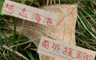 中超三強(qiáng)，海港缺國(guó)腳外援，奧斯卡思念球迷。