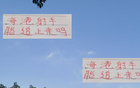 申花失中超最佳射手之望，海港萊昂納多能否趕超？