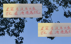 深圳申花等隊(duì)引外援國腳，夏窗期待海港大魚。