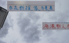 上海雙雄懷舊情，申花新援似馬萊萊，海港風格直白。