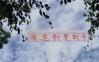 海港迎奧斯卡，非巴西11號。