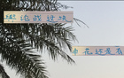 事出反常，申花老謀深算，勝后申訴，輿論戰(zhàn)不簡單。