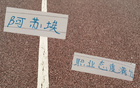 阿蘇埃加班敬業(yè)，申花新援滿(mǎn)分態(tài)度！