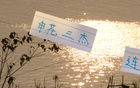 申花三杰連發(fā)，俄帥壓力倍增！