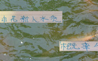 申花新星赤幾表現(xiàn)佳，張玉寧級(jí)地位，實(shí)力非水貨。