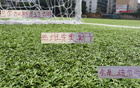 武磊雖離江湖，仍助海港獲奧斯卡風(fēng)范。