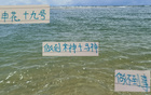 申花19號(hào)破防，馬萊萊、米神難及。