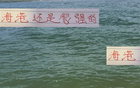 精挑細(xì)選，預(yù)算有限，海港仍能躋榜二，實力非凡。