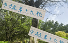 周末申花云南高原賽，阿蘇埃赤道南能否進第四球？