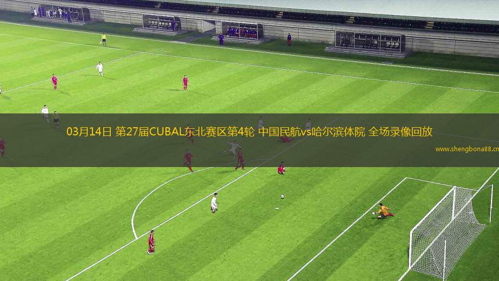 03月14日 第27屆CUBAL東北賽區(qū)第4輪 中國民航vs哈爾濱體院 全場錄像回放