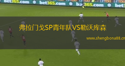 弗拉門戈SP青年隊(duì)VS勒沃庫森