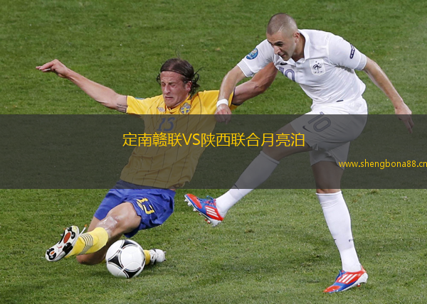 定南贛聯VS陜西聯合月亮泊
