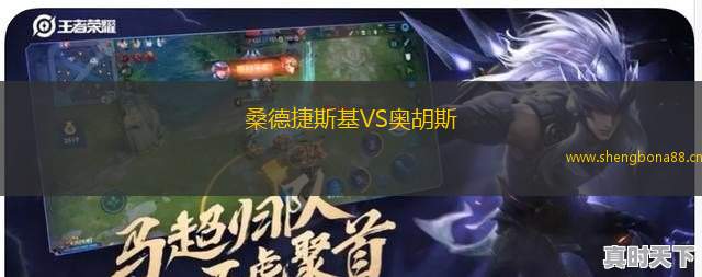 桑德捷斯基VS奧胡斯
