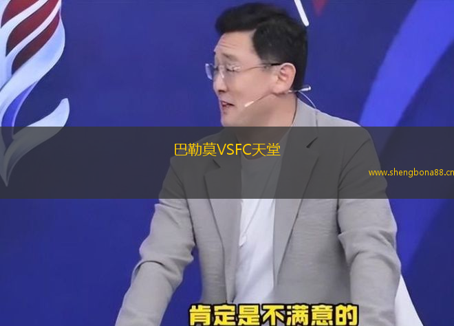 巴勒莫VSFC天堂