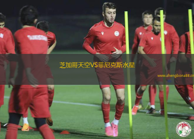 芝加哥天空VS菲尼克斯水星