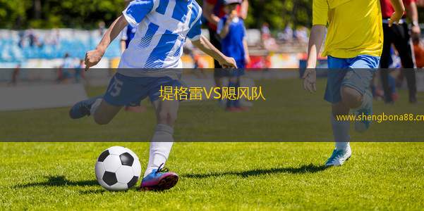 堤格雷VS颶風隊