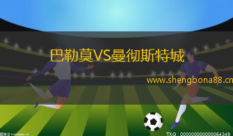 巴勒莫VS曼徹斯特城