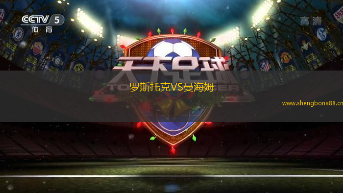 羅斯托克VS曼海姆