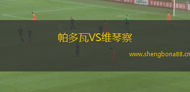 帕多瓦VS維琴察