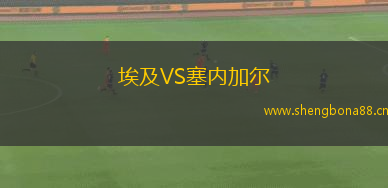 埃及VS塞內(nèi)加爾