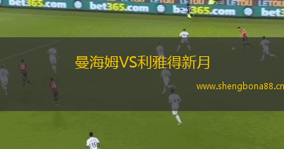 曼海姆VS利雅得新月