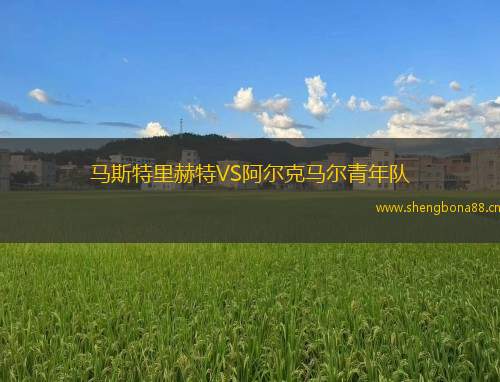馬斯特里赫特VS阿爾克馬爾青年隊(duì)