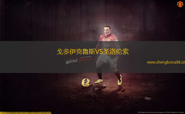戈多伊克魯斯VS圣洛倫索