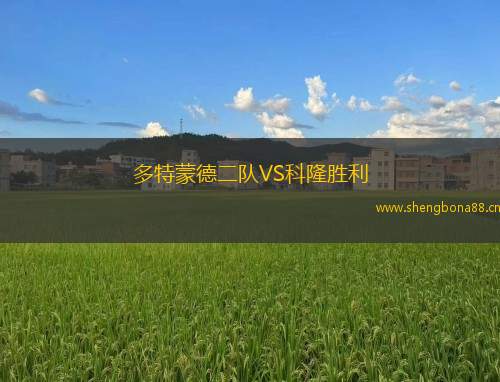 多特蒙德二隊(duì)VS科隆勝利