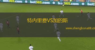 特內里費VS加的斯