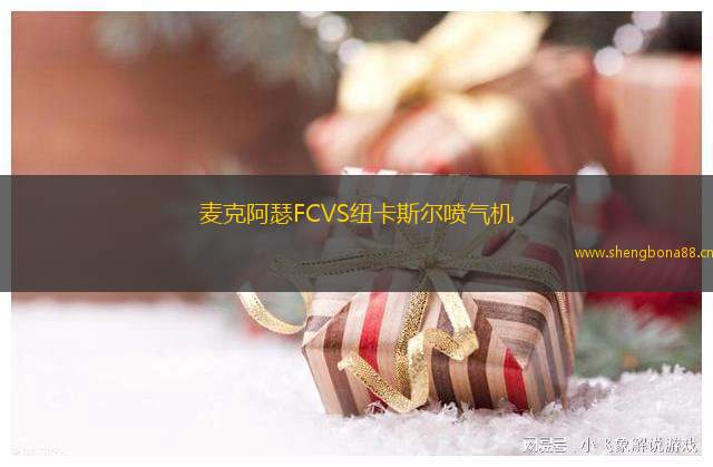 麥克阿瑟FCVS紐卡斯?fàn)枃姎鈾C(jī)