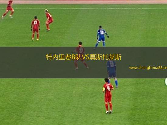 特內(nèi)里費(fèi)B隊(duì)VS莫斯托萊斯
