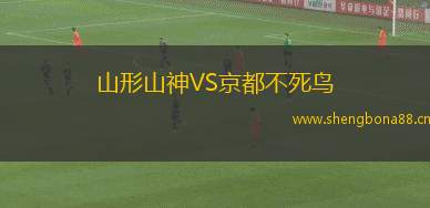 山形山神VS京都不死鳥