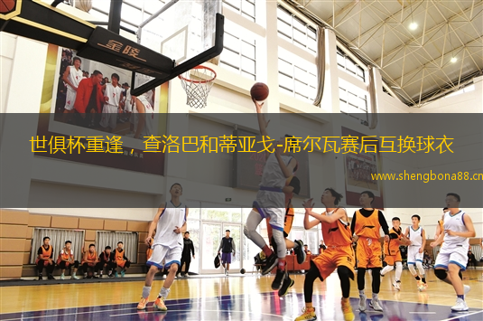 世俱杯重逢，查洛巴和蒂亞戈-席爾瓦賽后互換球衣