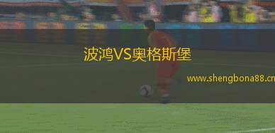 波鴻VS奧格斯堡