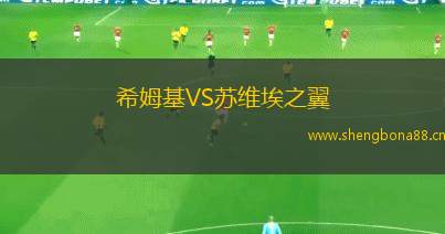希姆基VS蘇維埃之翼