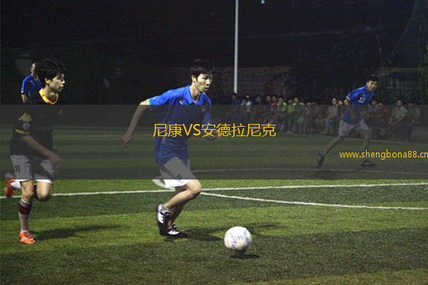 尼康VS安德拉尼克