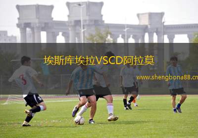 埃斯庫埃拉VSCD阿拉莫