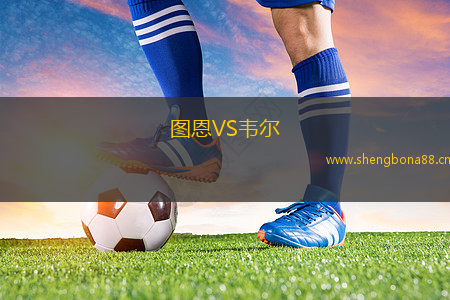 圖恩VS韋爾