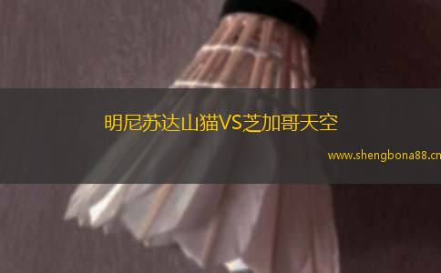 明尼蘇達山貓VS芝加哥天空