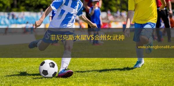 菲尼克斯水星VS金州女武神